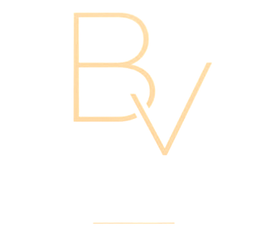 BuildVision